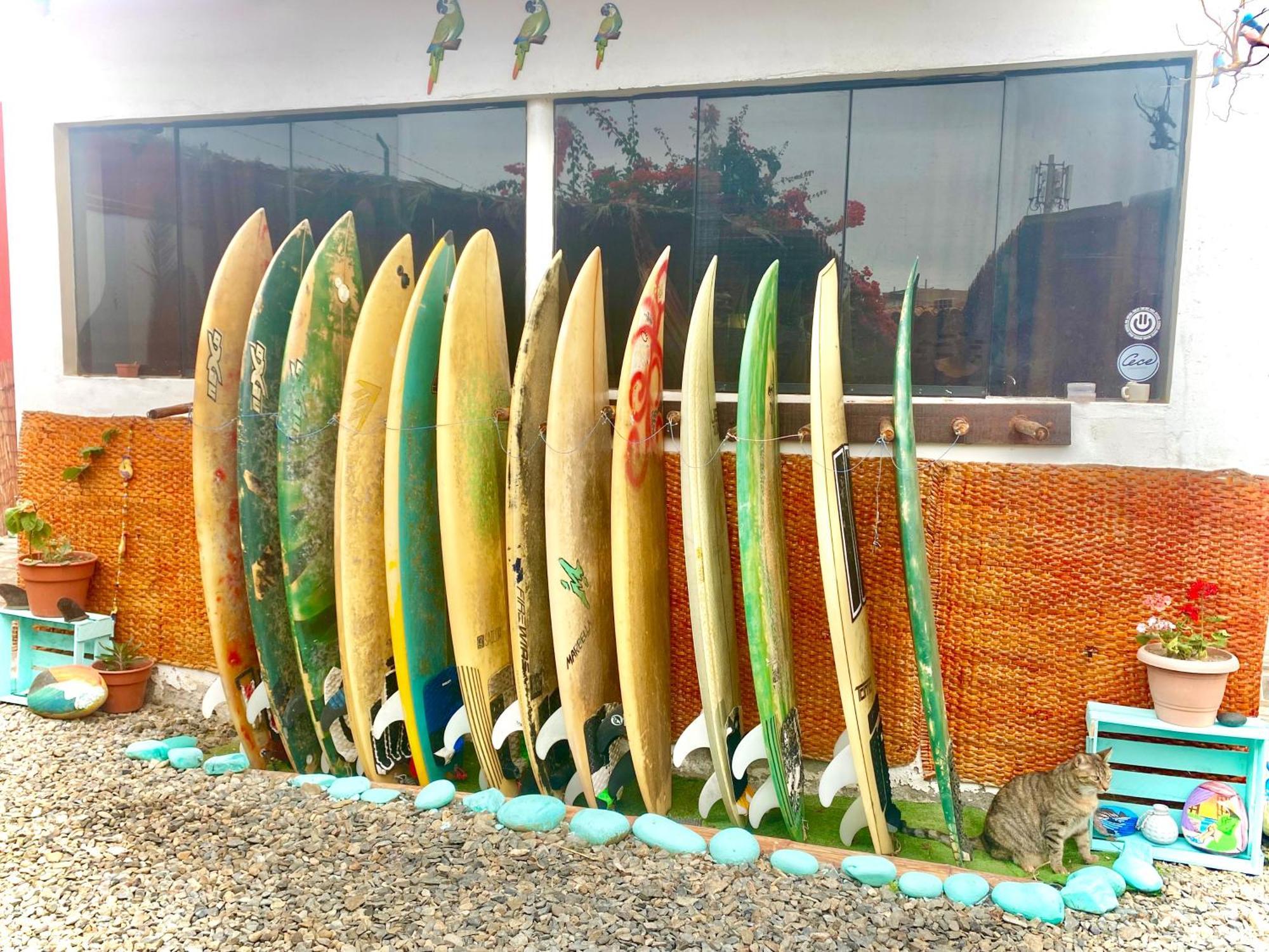 Surf House Chicama Hotel ปวยร์โต จิกามา ภายนอก รูปภาพ