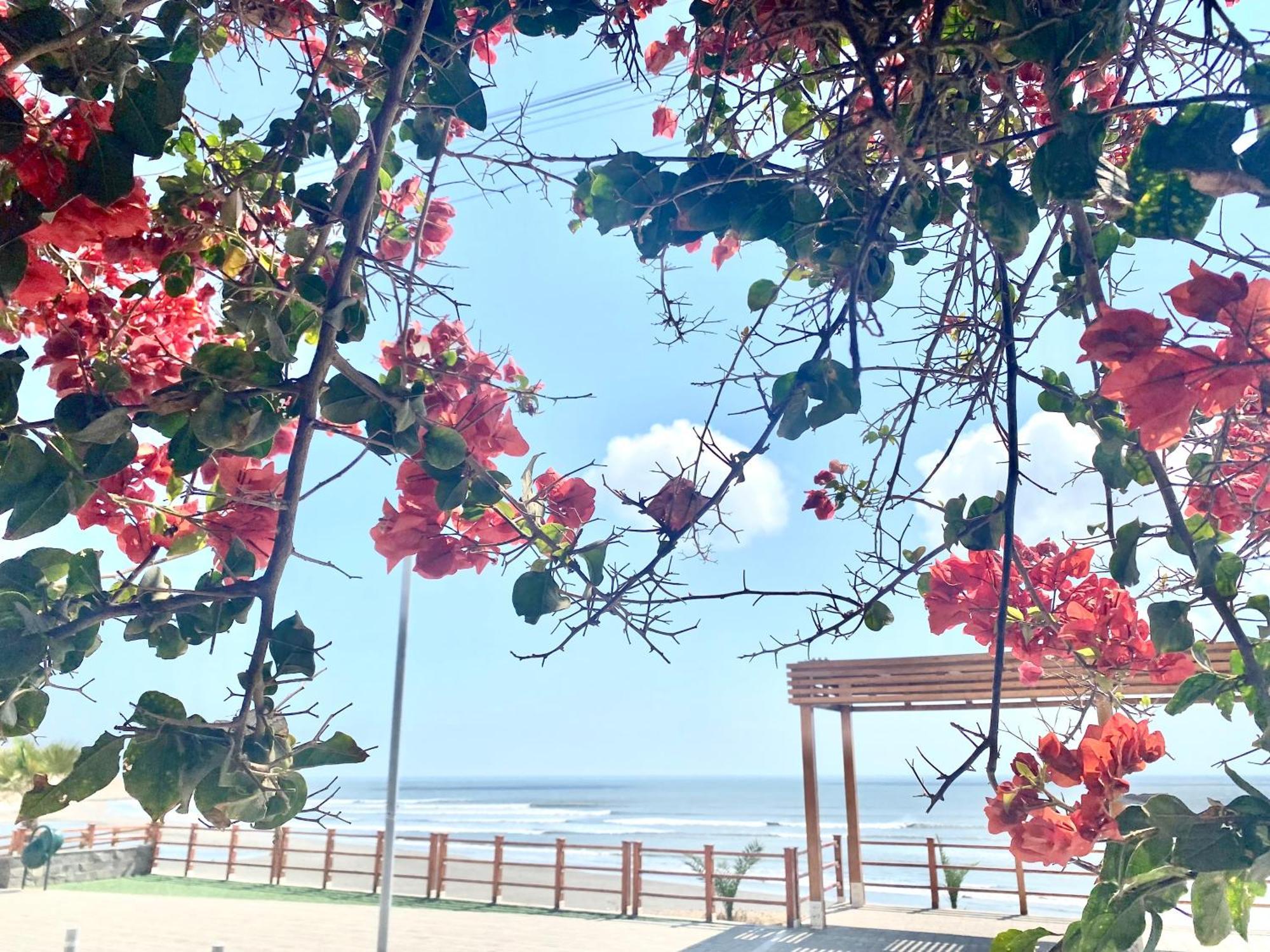 Surf House Chicama Hotel ปวยร์โต จิกามา ภายนอก รูปภาพ