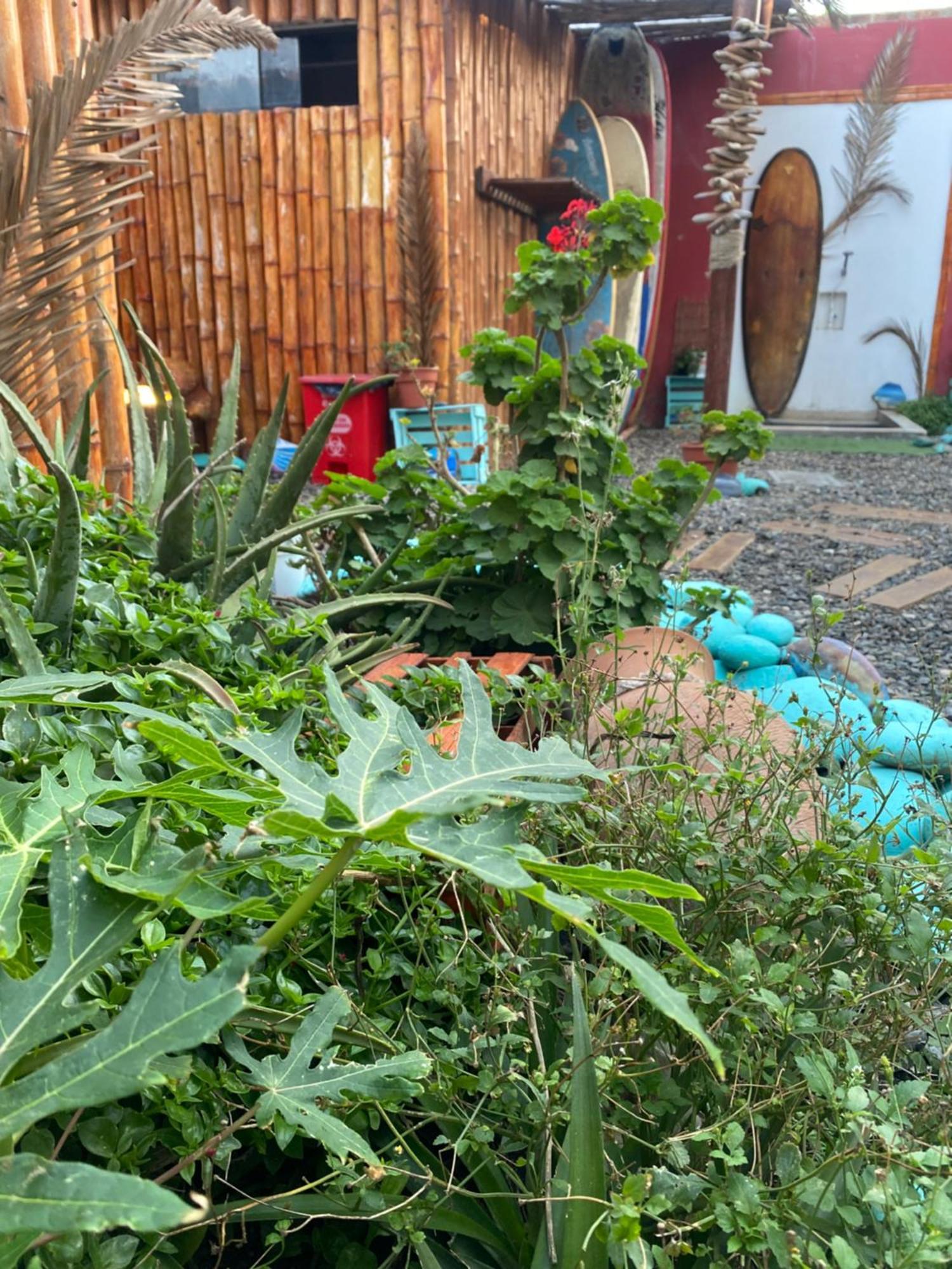 Surf House Chicama Hotel ปวยร์โต จิกามา ภายนอก รูปภาพ